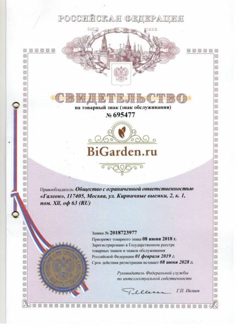 Кресло подвесное Easy Красная подушка